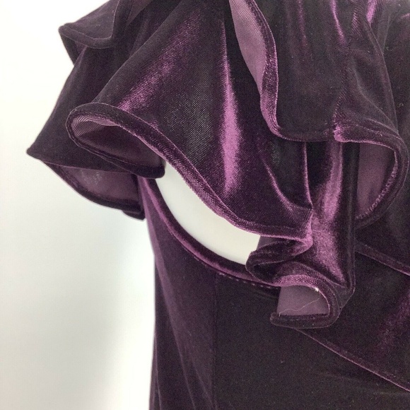 MISA LOS ANGELES Agus One-Shoulder Velvet Top Plum - Picture 6 of 8
